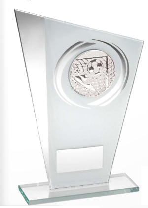 Slanted Award Including Insert