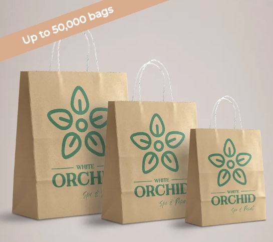 Printed Paper Bags